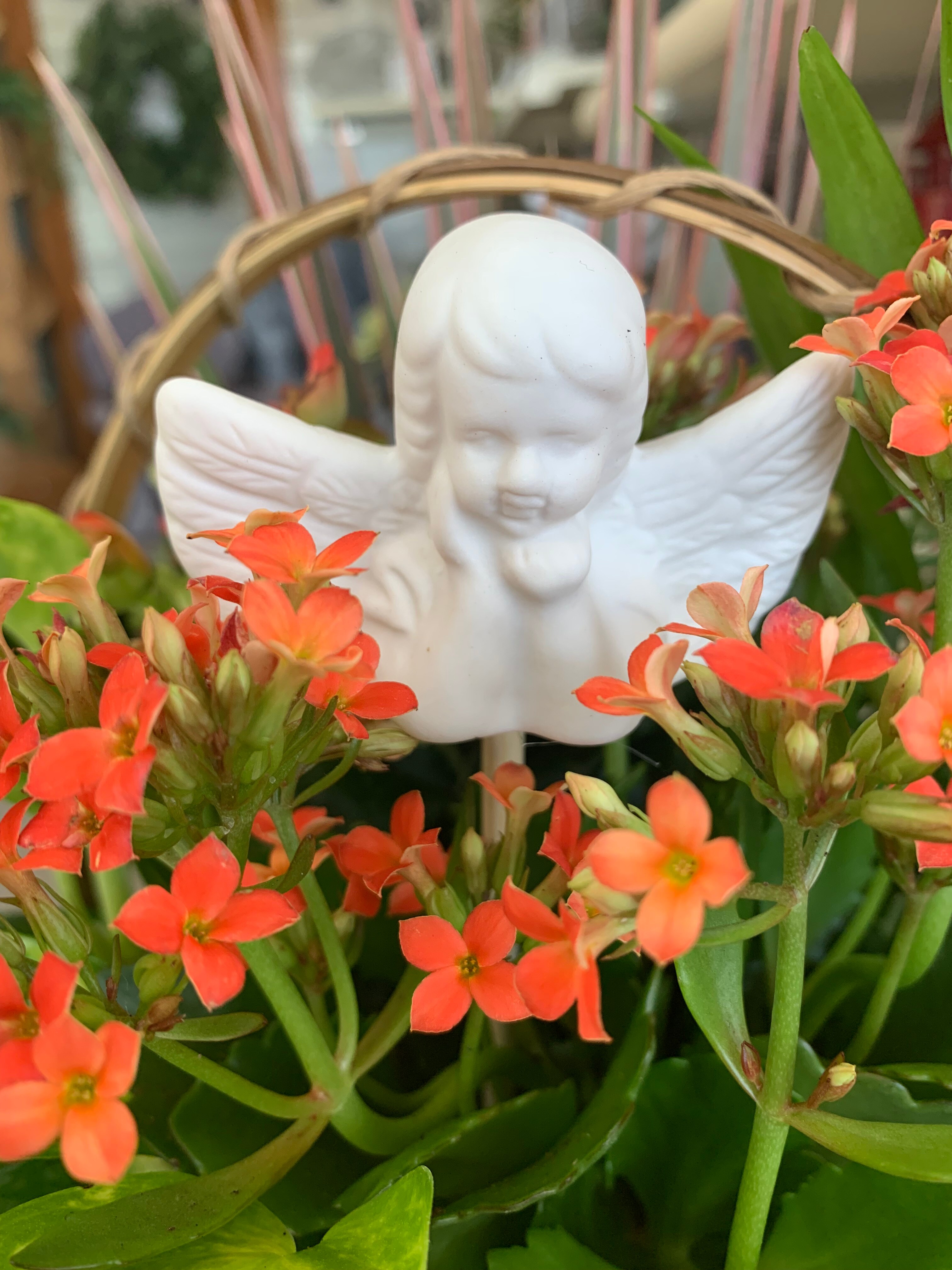 Porcelain cherub